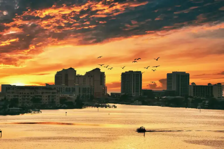 Clearwater Beach skyline, boats, and birds at sunset