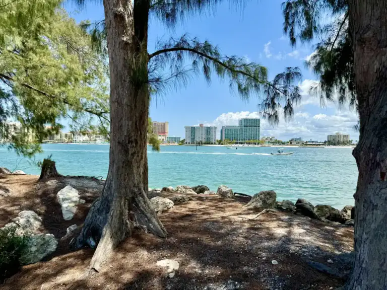 Turquoise Clearwater waterfront framed by coastal trees with beach hotels across the water